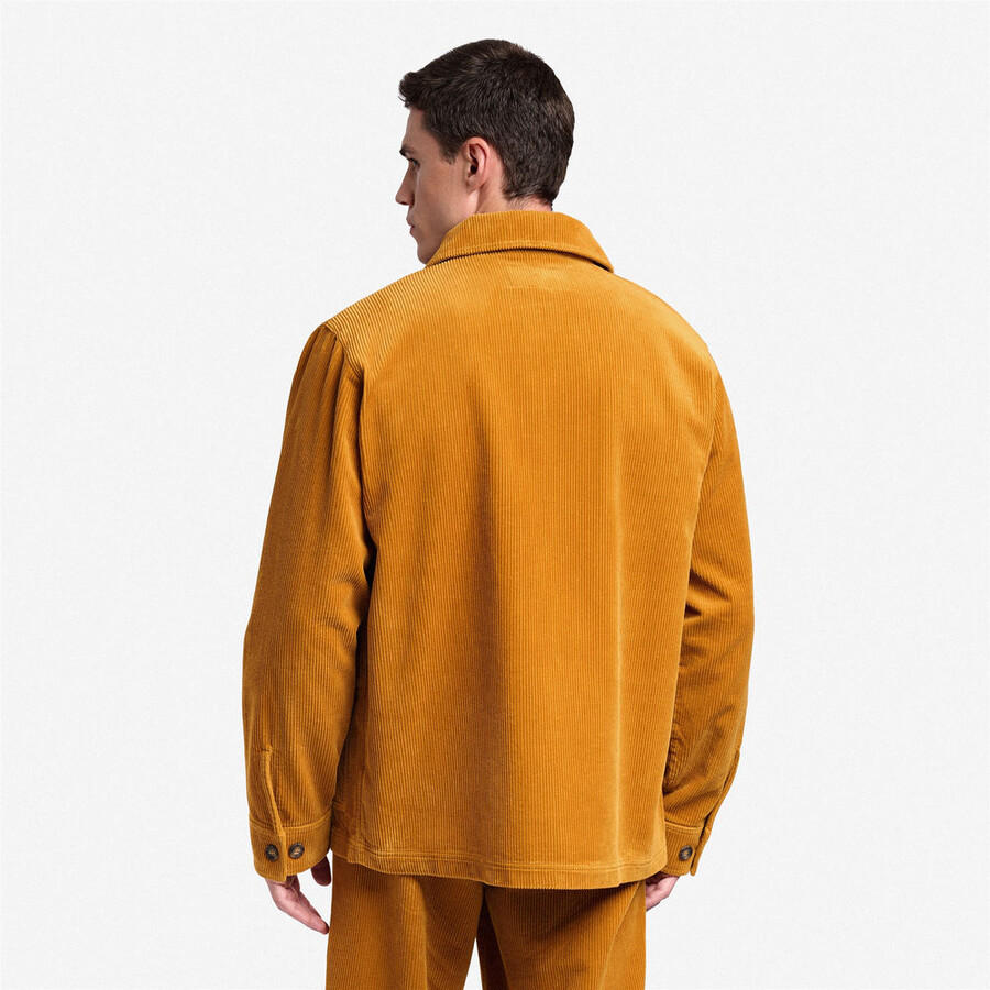 dorr cÔtelÉ jaune baume